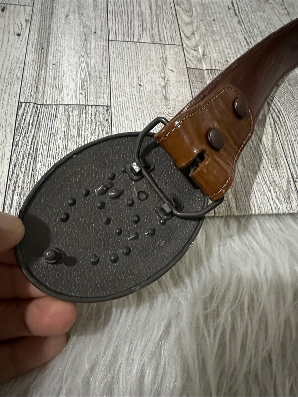 Dolce & Gabbana Brown Leather Belt with Embellished Gold Buckle - Picture 9 of 13